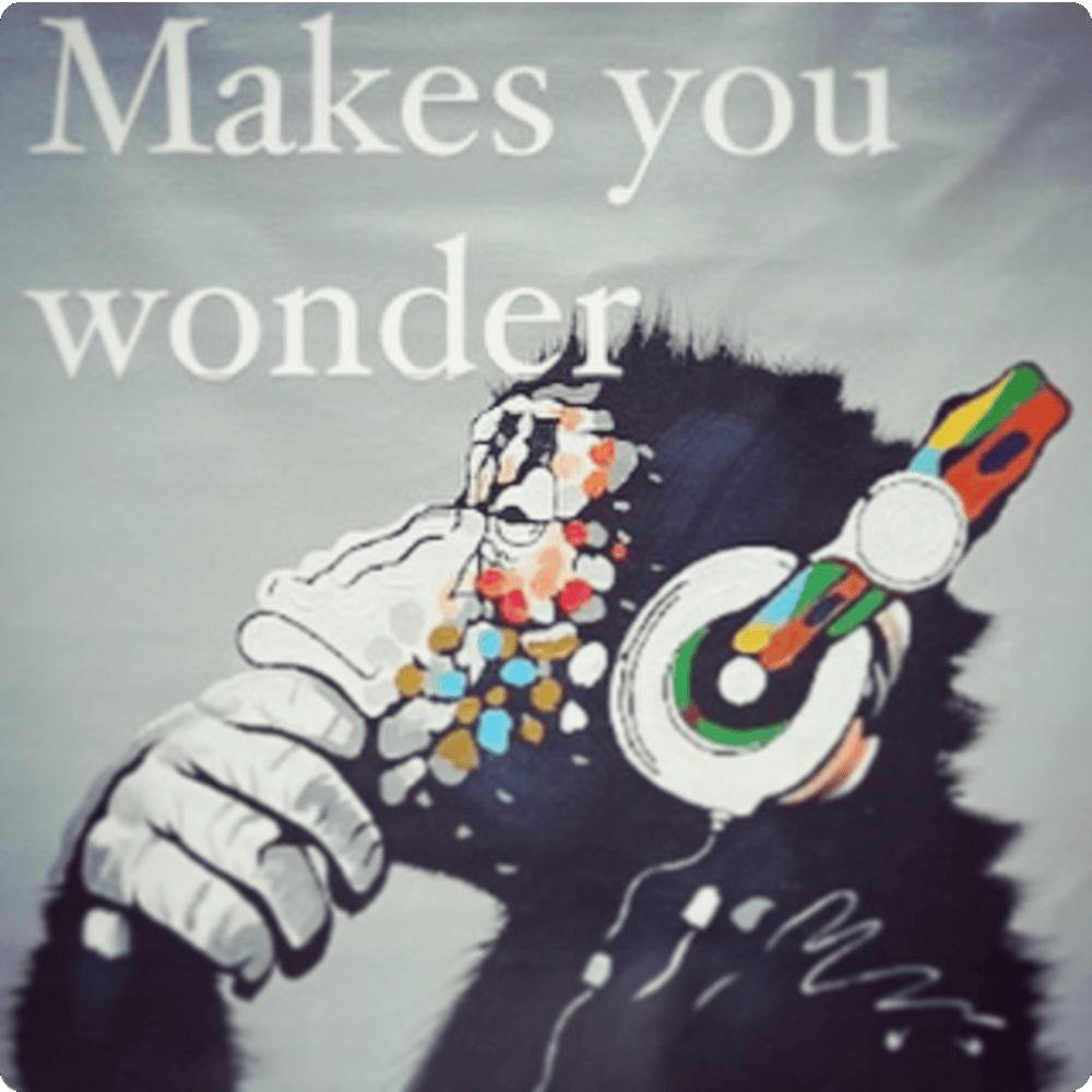 Makes You Wonder